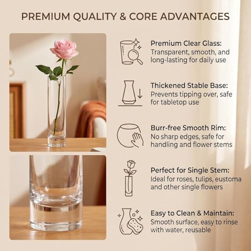 17.5CM/6.9Inch Cylinder Glass Flower Vase Tall Bud Vases Single Stem Vase Home Centerpieces for Table Living Room Wedding Decorations(Transparent)