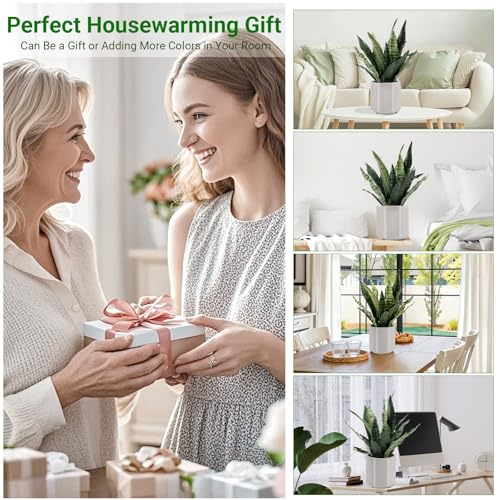 Fake Snake Plant 22" Tall, Realistic Touch Leaves, Potted Artificial Plants Indoor for Home Decor Small Office Home Living Room - size: 22 Inch Snake
