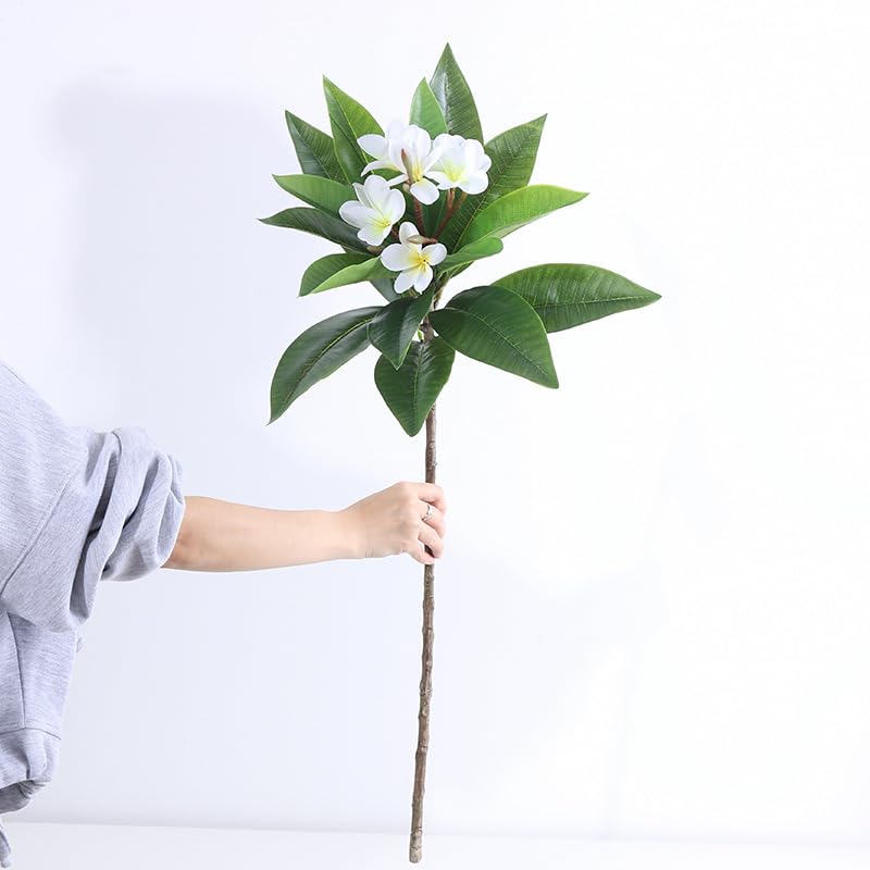 XIYUAN 35.5 Inch Artificial Flowers Artificial Frangipani Flower 2 Stems Lifelike Real Touch Artificial Plumeria Flowers for Home Party Wedding Bouquet Home Decoration (White) - color: White