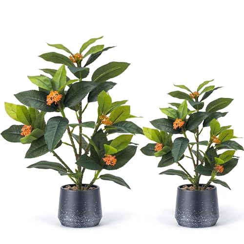 Gresorth 2 Pack Artificial Fake Green Potted Table Small Plants Decoration Simulation Osmanthus Tree Ornament Bonsai Display for Desk Decor Indoor Wedding Windows - color: B - 2 Sizes