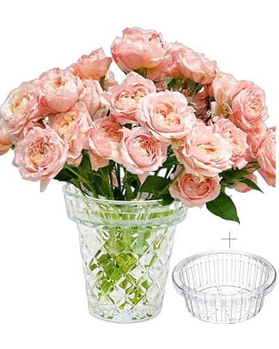 Thickened Glass Vase Embossed Big Base Large 6.1in Wide Mouth Rhombus Clear Vases Esmiome Bowl Bouquet Ribbed with a Hydroponic Baskets Vintage for Aquaponics Orchids Avocado Phalaenopsis Hyacinth