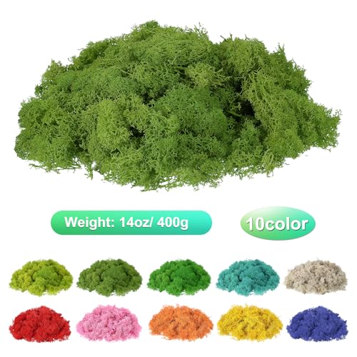 uxcell Preserved Reindeer Moss, 14oz Fake Moss for Crafts Artificial Dried Moss for Decoration Terrariums Potted Plants, Light Green/Dark Green/Yellow/Chartreuse - color: Light Green/Dark Green/Yellow/Chartreuse, size: 14oz
