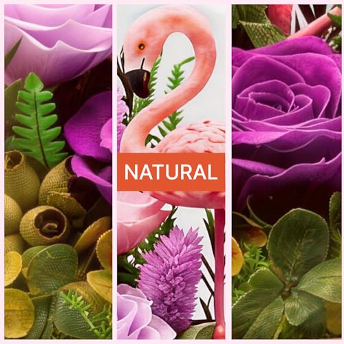 Eternal Flowers with Flamingo-Big Flower Big Love- Graduation Flowers Gifts for Daughter Wife Mom-Forever Flower in Glass Dome-Flowers for Delivery Prime on Anniversary Valentines Birthday (Purple) - color: Purple3