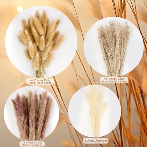 100 Pcs Pampas Grass Boho Decor, 17" Dried Flowers Bouquet for Vase, Crafts, Bohemian Wall Art, Western Home, Living Room, Bedroom, Fall Wedding Table & Rustic Farmhouse