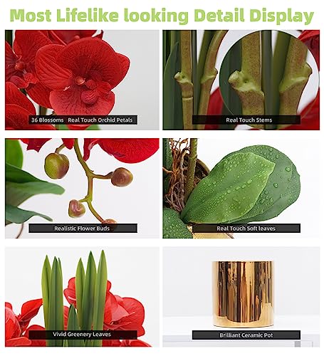 CXGS Artificial Orchid Flower Plants Real Touch Faux Orchids in Ceramic Vase 20.9'' Red Phalaenopsis Orchid Fake Flower Arrangement Home Indoor Decor - color: Red- Golden (12cm)