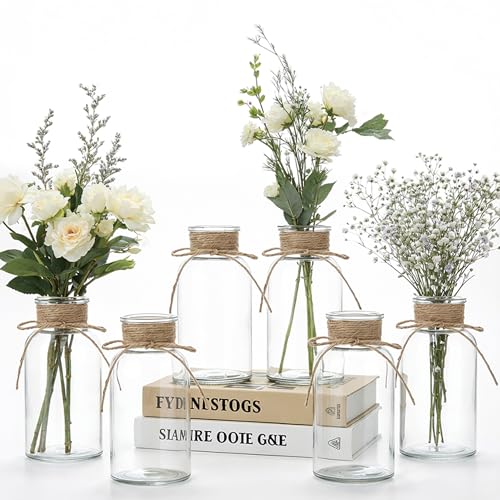 Glass Flower Vases for Centerpieces Boho Cylinder Bud Vases in Bulk Mason Jars for Weddings, Parties & Vintage Home Farmhouse (6, Clear) - color: Transparent