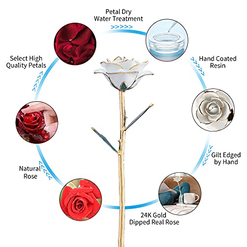 SW 24k Gold Dipped Real Rose Lasted Forever with Stand, White Gold Rose Gifts for Women Wife for Her, Christmas, Valentines Day, Mothers Day, Birthday - color: White
