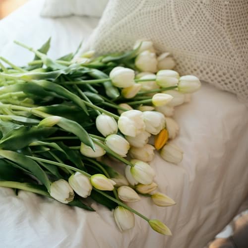 10 Pcs Fake Tulips Tulips Artificial Flowers Real Touch Fake Flowers Artificial Flower Bouquet for Home Table Party Wedding Decoration (White) - color: White
