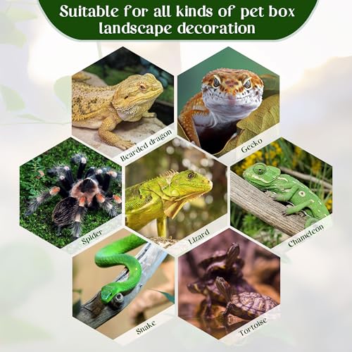 Reptile Plants for Terrarium, Ball Python Tank Accessories, Amphibian Habitat Decor Plant Bearded Dragon Tank Decorations for Gecko Lizard Chameleon Tortoise with Base - Fake Monstera - color: B-fake Monstera