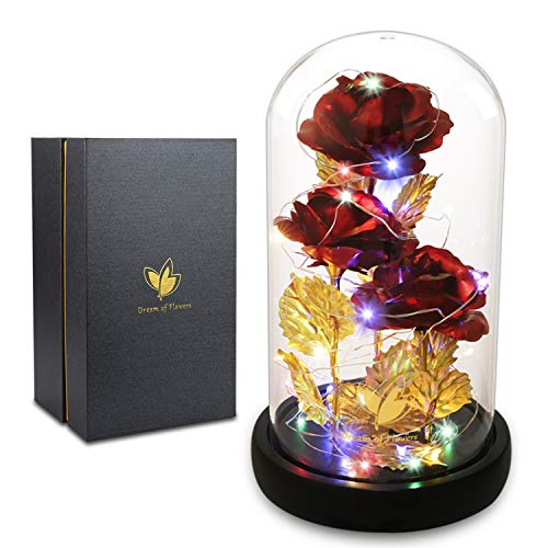 Valentines Day Gifts for Her,Beauty and The Beast Rose Birthday Gift,Galaxy Flower Rose with 2 Light Modes,Colorful Crystal Flower Enchanted Rose in Glass Dome,Womens Gifts for Mom Wife Girlfriend - color: Red