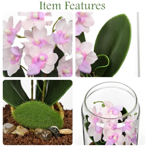 Pink Orchids Artificial Flowers with Vase, Small Faux Orchid Arrangement Fake Orchids Plant in Terrarium Jar Small Pink Orchid Centerpieces for Kitchen Dining Room Tables Bathroom Nightstand Decor - color: Pink + Brown Sand