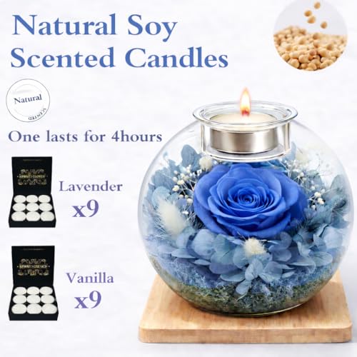 Preserved Real Rose in Glass with Scented Candles for Mom Her Wife Girlfriend Grandma Birthday Anniversary Romantic - color: Zenith Blue