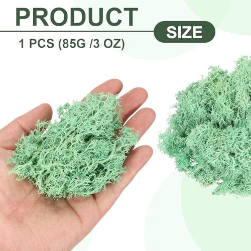 MECCANIXITY 3oz Preserved Reindeer Moss, Green Decorative Artificial Fake Moss for Potted Plants Indoor Crafts Lichen Centerpieces Decor - color: Green, size: 3oz
