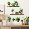Green Plants Potted Wall Decals Vinyl Spring Summer Green Plants Leaves Wall Stickers Peel and Stick Removable Wall Decor for Bedroom Living Room Bathroom Classroom Decorations - style: Green Plants Potted