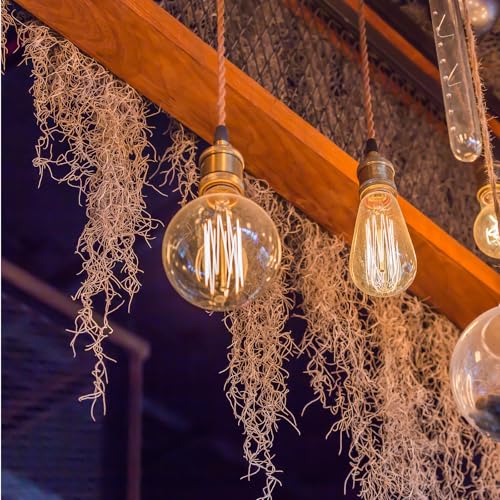 Giegxin Spanish Moss 41'' Fake Hanging Succulents Faux Moss Artificial Succulent Plants Vines Hanging Plants Swamp Decoration Potted Artificial Garland(Brown,12 Pack) - color: Brown