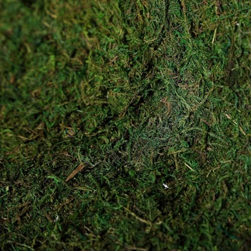 Tableclothsfactory 18" x 16" Preserved Natural Moss Roll Faux Green Living Wall Foliage Green Garden Wall Mat - color: Moss