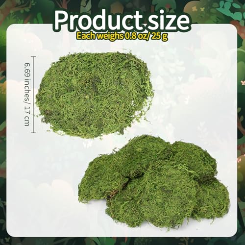 Solsew 6 Pcs Artificial Fake Green Moss for Potted Plant Indoor Waterproof Decorative Faux Moss Decor for DIY Crafts Garden Wedding Party Decoration(Stylish) - style: Stylish