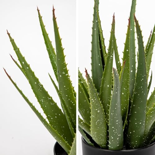 GnFlus Fake Succulent Aloe Vera Plants 13.4 Inch Large Artificial Succulents with Black Pot Faux Aloe Potted Plant for Desk Modern Home Office Bedroom Living Room Table Shelf Decor - color: Black-13.4"