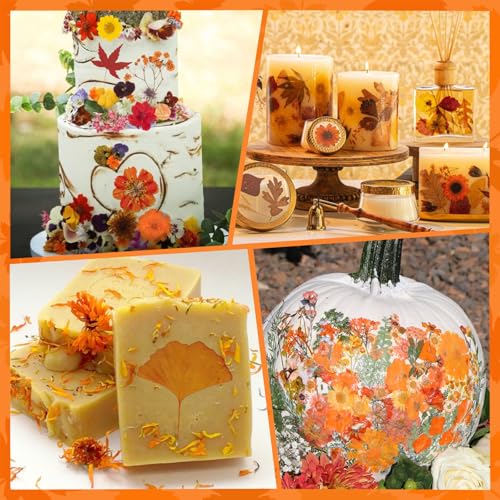 78 Pcs Fall Dried Pressed Flowers with Tweezer, Fall Themed Real Dried Flowers Leaves for DIY Crafts Resin Molds, Yellow Orange Dried Flowers for Autumn Halloween Thanksgiving Decorations - size: Orange