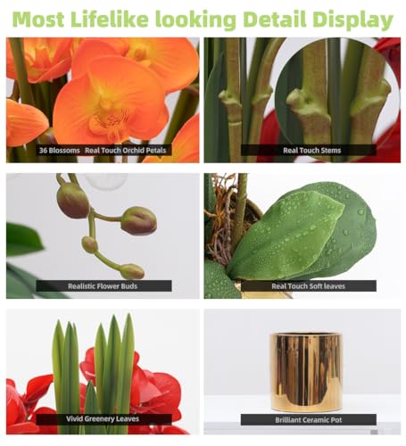 CXGS Artificial Orchid Flower Plants Real Touch Faux Orchids in Ceramic Vase 20.9'' Orange Phalaenopsis Orchid Fake Flower Arrangement Home Indoor Decor - color: Orange- Golden(12cm)