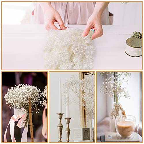 Dried Baby's Breath Flowers Bouquet - 3500+ Ivory White Dry Flowers Bulk, 17'' Real 100% Natural Gypsophila Branches for Wedding, DIY Home Party Table Vase Decor, Wreath Floral