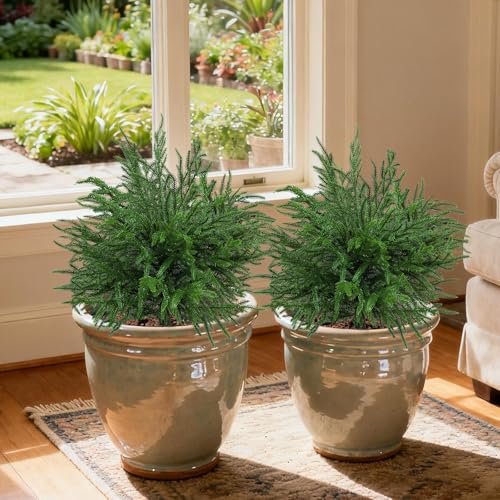 Bdor 24" Artificial Norfolk Pine Topiary Bush with Ground Stake, UV Resistant Fake Pine Shrubs for Outdoors, Weatherproof Faux Greenery Plants for Garden, Patio, Yard, 2 Pack - style: norfolk