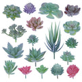 18 Pcs Artificial Succulents, Realistic Succulent Plants,Unpotted Faux Succulent for DIY Crafting Floral Wall Garden Arrangement Home Office Decoration