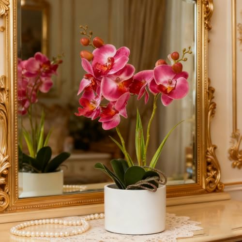 Jusdreen Artificial Purple Orchid, Phalaenopsis in Ceramic Pot with Vase for Home Office Table Decor, Flower Centerpiece - color: Z/Ceramic-purple