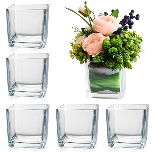 Set of 6 Square Glass Vases for Centerpieces – 5in x 5in x 5in Clear Short Flower Vase, Plant Terrariums, or Candle Holders for Wedding Centerpieces, Office Decor, Home Décor, Parties - size: 5in-6pcs