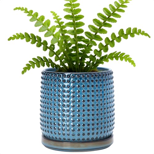D'vine Dev 6 Inch Ceramic Beaded Stoneware Planter Pot - Flower Pot with Drainage Holes and Saucers for Indoor Succulent Plants or Flowers, Ocean Teal, 27-C-X-8 - color: Ocean Teal, size: 5.8 Inch