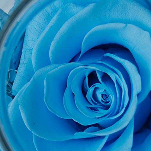 Preserved Real Roses with Colorful Mood Light Wishing Bottle,Eternal Rose，Never Withered Flowers, Christmas Anniversary Valentine's Mother's Day,a Gifts for Women 4.3inch 1pcs（Light Blue） - color: Light Blue