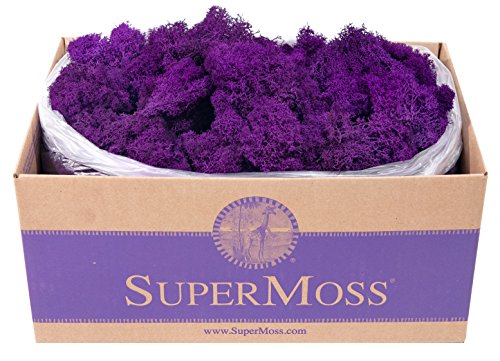 Super Moss (25145) Reindeer Moss Preserved, Purple, 3lbs - color: Purple, size: Appx. 3 lb Bulk Case
