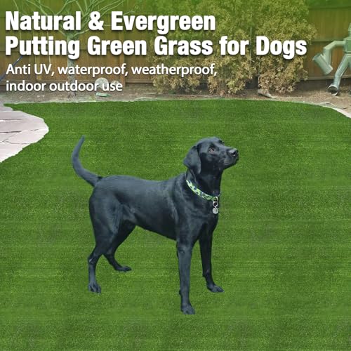 GLOBREEN Large Artificial Grass Outdoor for Dogs - 6 FT X 6 FT Fake Grass for Pets Potty Training - Turf Rug Roll for Kennel Playpen Whelping - size: 6FTX6FT