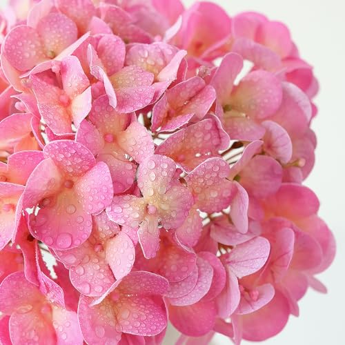 ZYTUYO 4PCS 20'' Bright Pink Real Touch Hydrangeas Latex Artificial Flowers for Baby Shower Birtiyday Wedding Pink Partry Flower Arrangeament Home Living Room Table Centerpiece - color: Pink