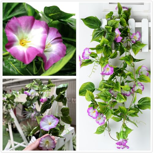 Artificial Morning Glory Hanging Vines Plants, Fake Silk Garland Flower Faux Ivy Lifelike Greenery Vine Plant for Home Garden Wall Fence Indoor Outdoor Wedding Birthday Decoration Fuchsia 2 Pack - color: Morning Glory Vines - Fuchsia 2 Pcs