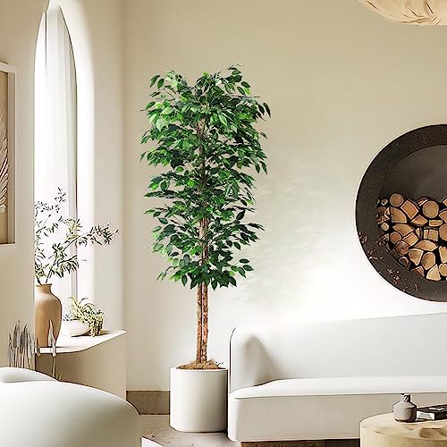 HAIHONG 1Pack 6FT Artificial Ficus Tree with Realistic Leaves and Natural Trunk, Faux Ficus Tree with Sturdy Plastic Nursery Pot, Fake Ficus Tree for Office Home Farmhouse for Indoor Outdoor Decor - color: Ficus Tree, size: 1 Pack 6 ft (0.5 ft Pot)