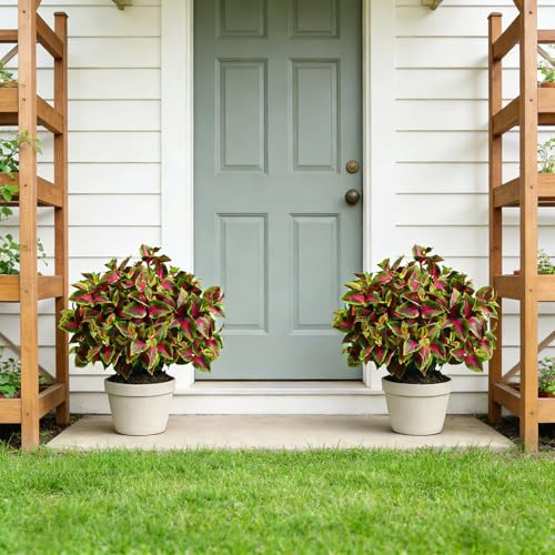 17” Artificial Boxwood Style Topiary Ball – Colorful Faux Foliage Bush, UV Resistant Pre-Assembled Outdoor Plant for Front Door, Garden & Patio Decor