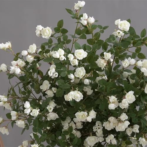 Melorca&Guilla Artificial Flowers Fake Flowers,6PCS 29" Artificial Rose for Vase, Long Stems White Artificial Flowers Faux Flower Arrangements for Shop Garden Office Home Décor(6, White Rose) - color: White Rose