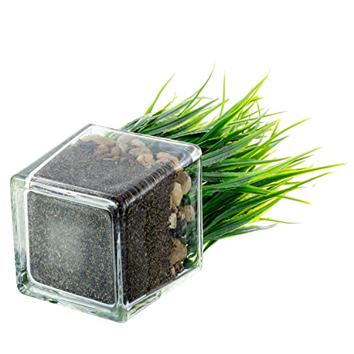 MyGift Artificial Grass Plants in Modern Square Clear Glass Pots with Faux Pebbles and Soil, Decorative Potted Greenery Plant in Tabletop Planter, Set of 2 - color: Clear (Square)