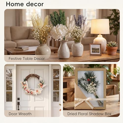 LUXEEASE Mixed Mini Dried Flowers Bouquet 176 Stems, 11 Kinds Natural Preserved Flowers (Lavender, Baby's Breath, Bunny Tails) , Boho Farmhouse Home Wedding Centerpiece Décor - color: Natural Neutrals