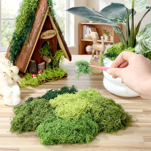 Suncalla 6 Colors Artificial Moss for Crafts 43.32oz/2.7lb Fake Green Moss Faux Grass for Potted Plants Indoor Bulk Large Capacity Fairy Garden DIY Decoration Model Making Walls Table Decors Home - color: 6 Colors