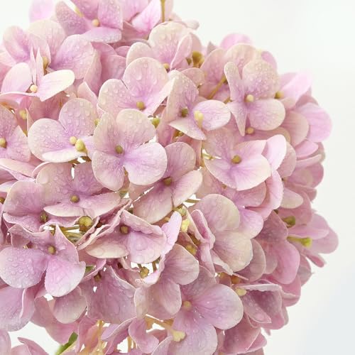 ZYTUYO 4PCS 20'' Real Touch Hydrangea Artificial Flowers Light Pink Champagne Faux Hydrangeas for Spring Porch Home Wedding Floral Arrangements Outdoor Party Baby Shower Table Centerpiece Xmas Decor - color: Light Pink