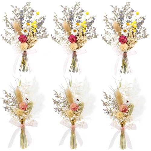 xin's convey Mini Dried Flower Bouquet Set of 6, Pink Mini Bouquet, Party Plate Decoration, Bridesmaid Flower Girl Proposal Box, Birthday Cake Table Arrangement, Wall Decoration - color: Pink