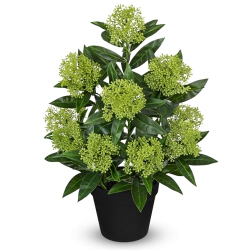 Briful Artificial Skimmia Japonica Plant in Pot, 20.8" Tall Faux Green Berry Flowers with Black Pot, Realistic Potted Floral Arrangement for Home Office Table Shelf Decor - color: Green Black