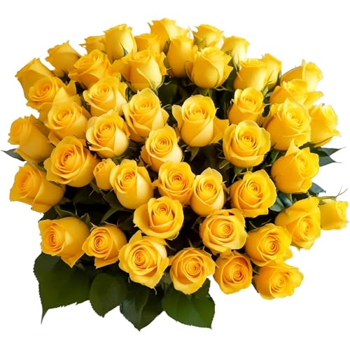 50 Yellow Roses | Bulk Roses by Arabella Bouquets | Real Fresh Flowers for Delivery, Gift for Birthday Women, Congratulations, Anniversary, Thank You, Mother's Day - color: Yellow, size: 50 Stems