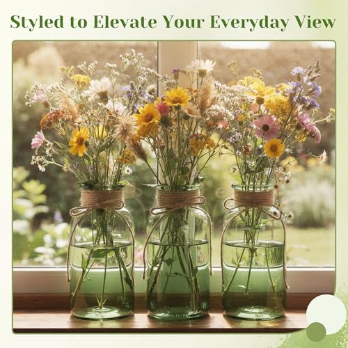 Glass Flower Vases for Centerpieces Boho Cylinder Bud Vases in Bulk Mason Jars for Weddings, Parties & Vintage Home Farmhouse (6, Green) - color: Green