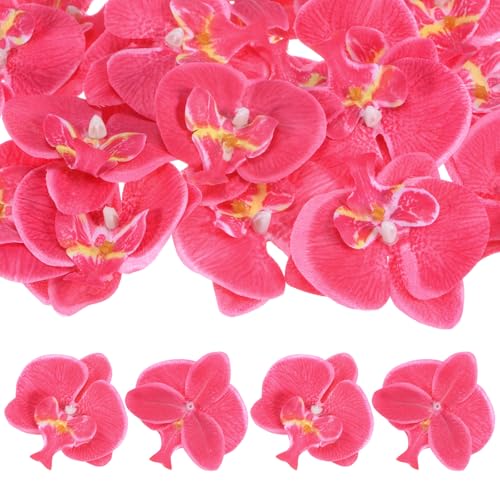 M METERXITY 20-Pack Artificial Orchid Flower Heads, Silk Faux Butterfly Flowers Head for Wedding/Bouquet/Bridal/Party Decor, Fake Phalaenopsis Petals Bulk [2.76 Inch, Rose Red] - color: Rose Red, size: 2.76 Inch