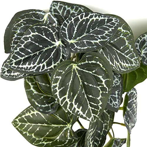 Reptile Plants for Terrarium, Amphibian Habitat Decor Artificial Hanging Plants with Suction Cup - Fake Anthurium Crystallinum - color: Fake Anthurium Crystallinum