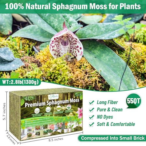 Riare 2.8LBS Premium Sphagnum Moss for Plants- 55QT Natural Dried Plant Moss for Potted Plants, Orchid Moss for Repotting, Soft Green Decorative Moss for Succulents, Reptiles & DIY Crafts - color: 55 QT(Appx.2.8lbs)