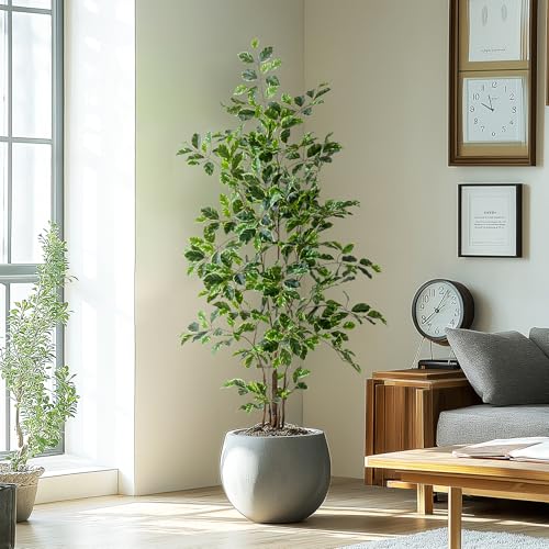 Bailikang Artificial Ficus Tree Indoor 5ft, Large Potted Faux Tree with Realistic Silk Leaves & Trunk for Home Office, Living Room Corner Decor - color: White Green, size: 5ft